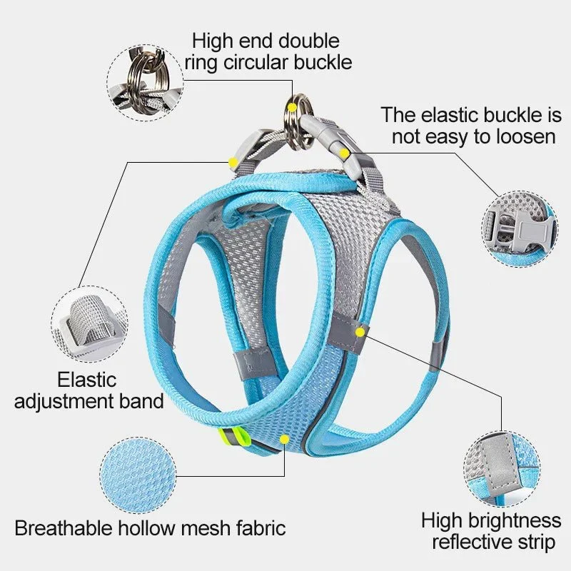 Harnais Respirant Réglable Petit Compagnon