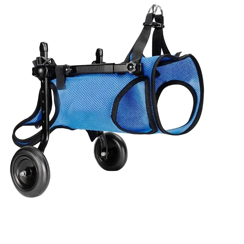 Chariot Mobilité Rééducation Petit Chien