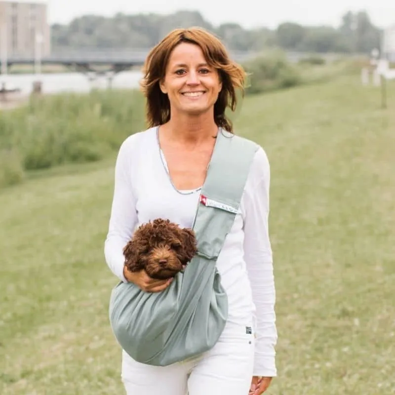 SAC DE TRANSPORT BANDOULIÈRE POUR CHIEN - GRIS