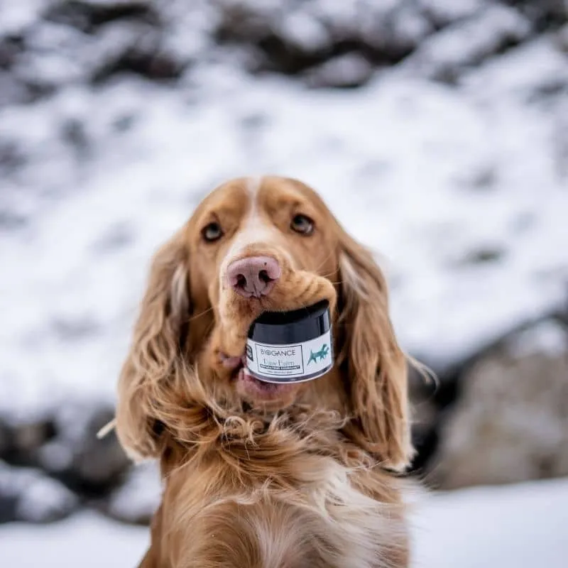 BAUME TRUFFE ET COUSSINETS PAW BALM - POUR CHIEN ET CHAT