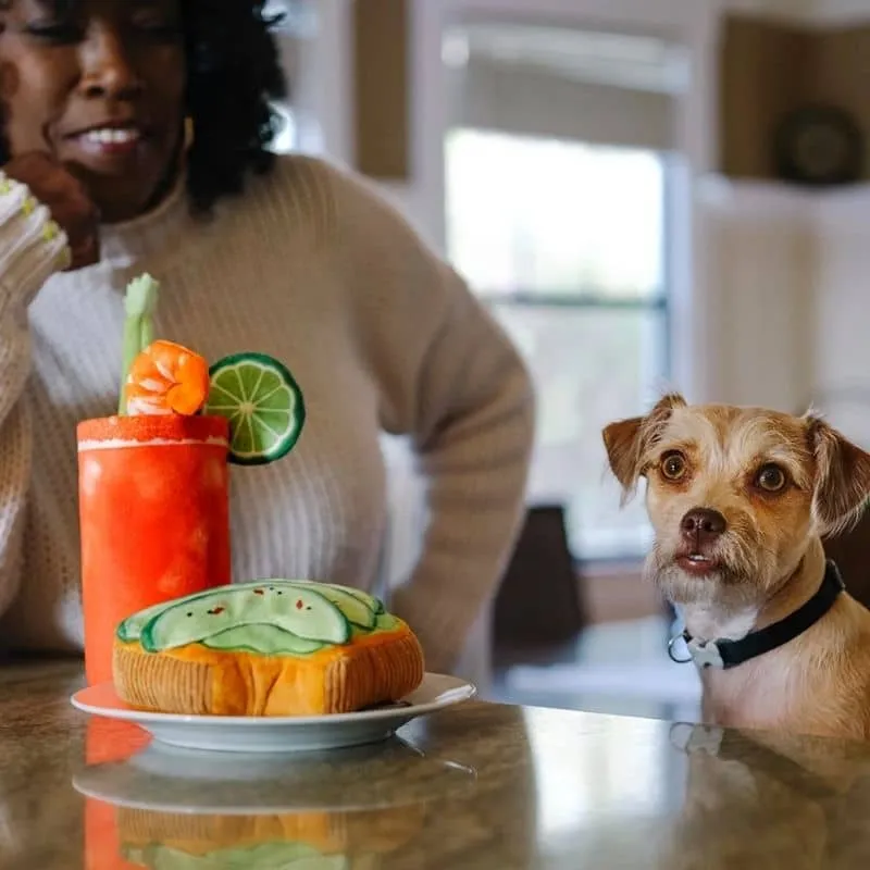 PELUCHE POUR CHIEN - TOAST À L'AVOCAT 🥑 (2 TAILLES DISPO)