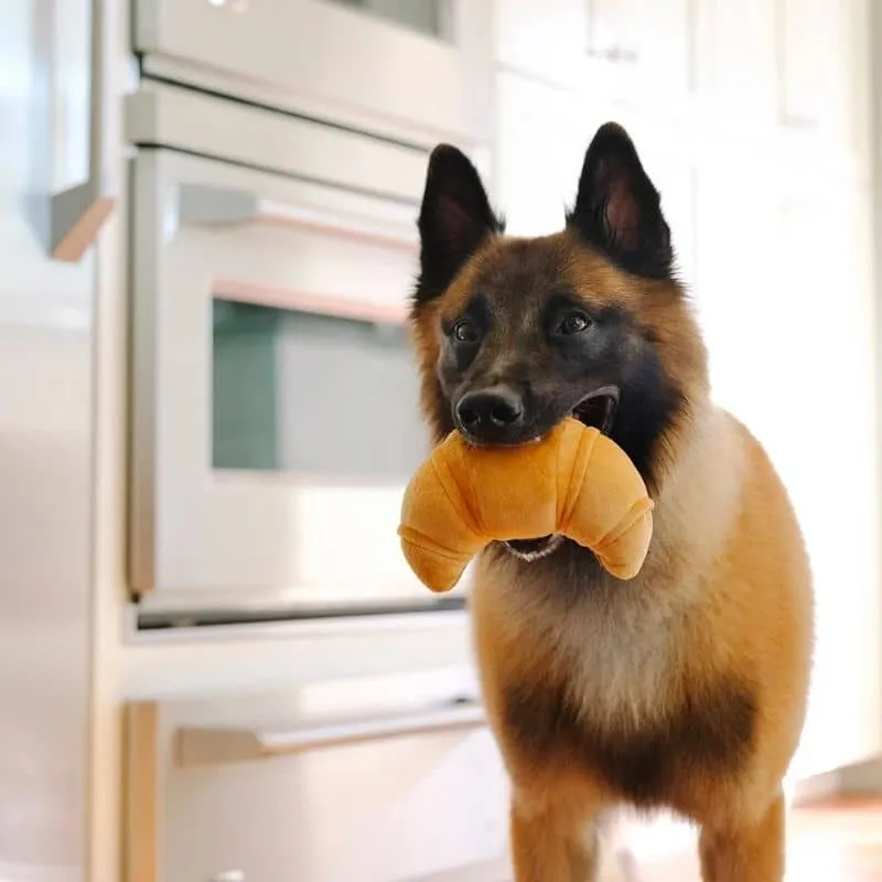 PELUCHE POUR CHIEN - CROISSANT 🥐 (2 TAILLES DISPO)