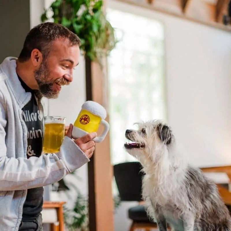 PELUCHE POUR CHIEN - CHOPE DE BIÈRE 🍺