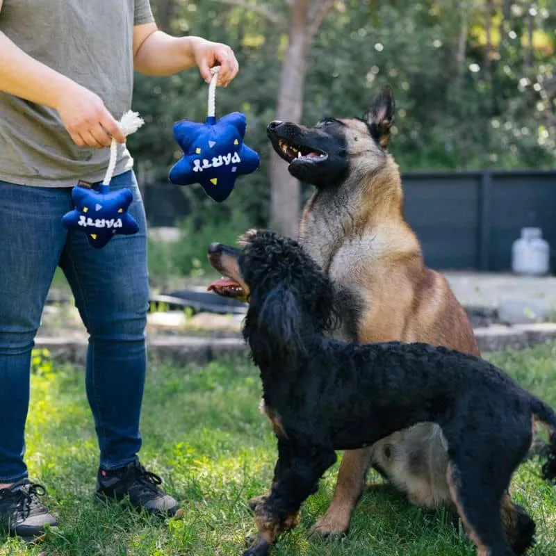 PELUCHE POUR CHIEN - BALLON ÉTOILE 🎈(2 TAILLES DISPO)