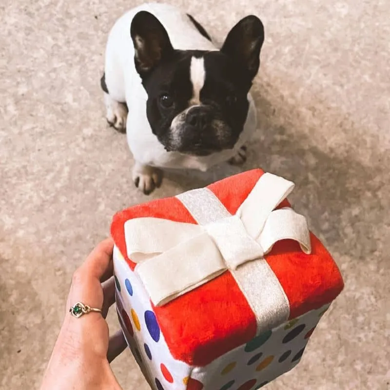 PELUCHE POUR CHIEN - CADEAU 🎁 (2 TAILLES DISPO)