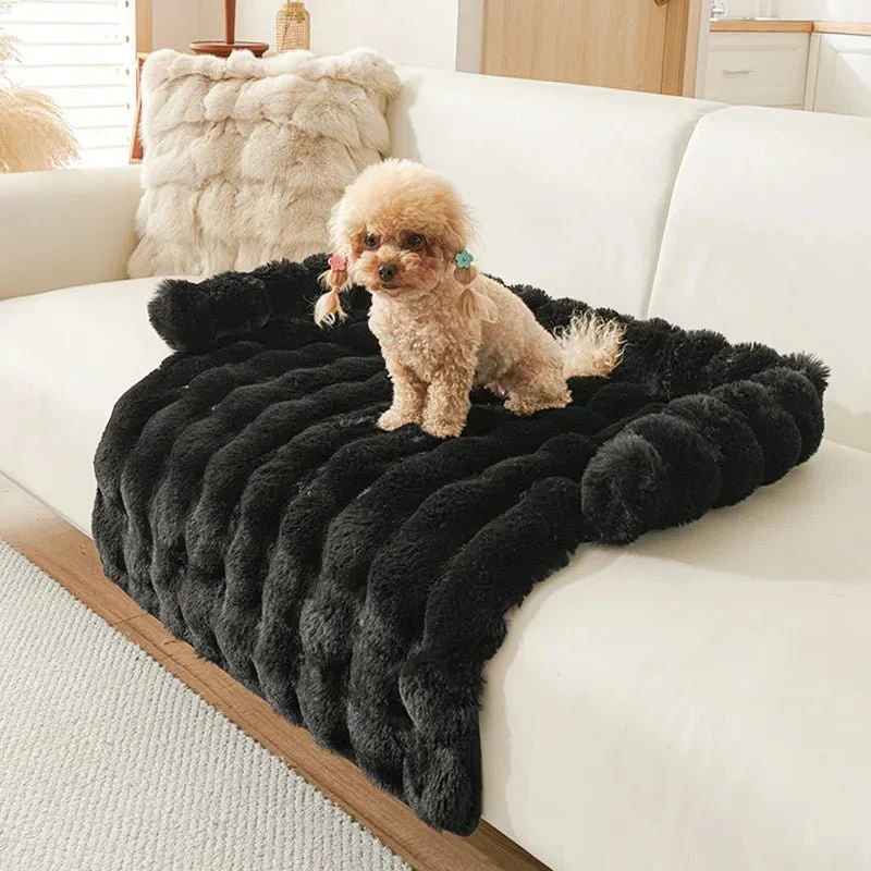 Tapis Anti-Poils Lavable Gros Chien