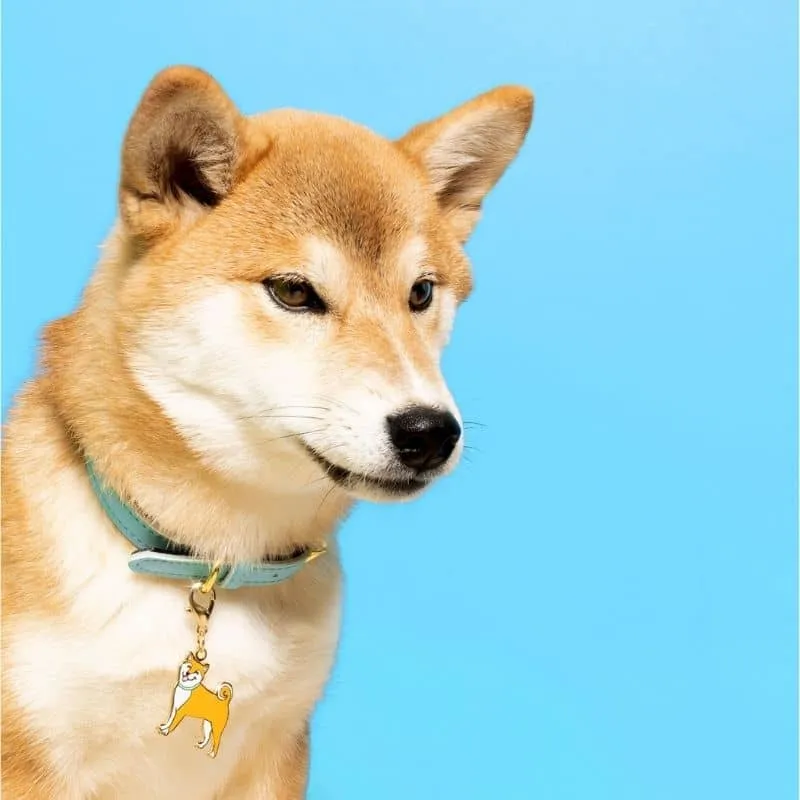 PORTE-CLÉ MÉDAILLE - SHIBA