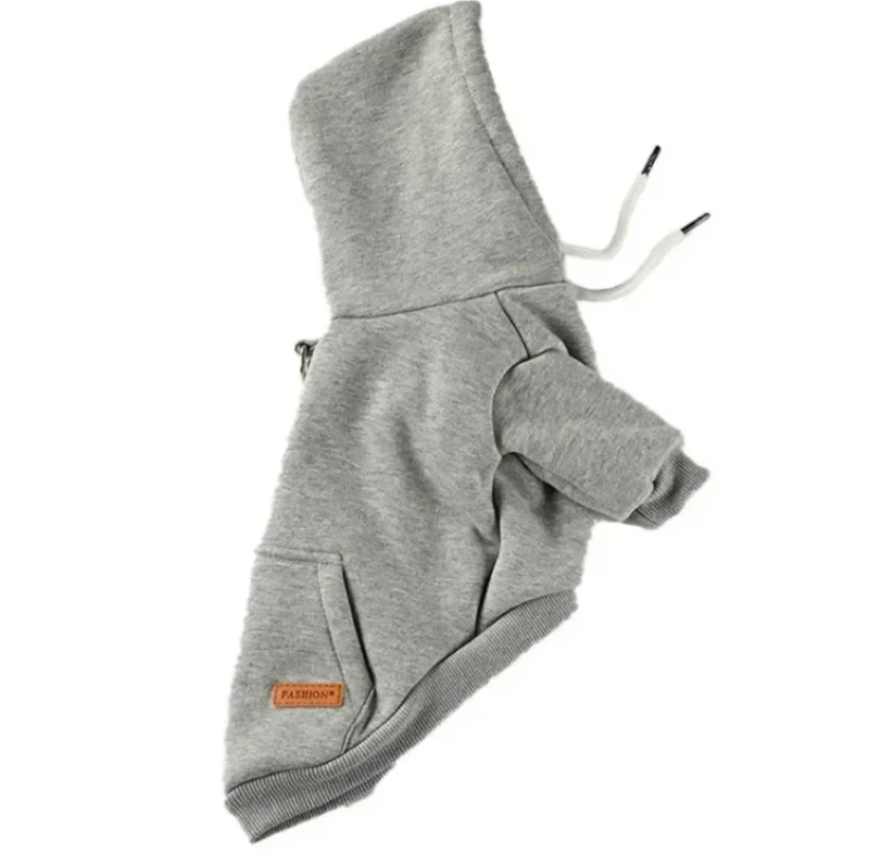 Pull Coton Bouledogue Français Hiver