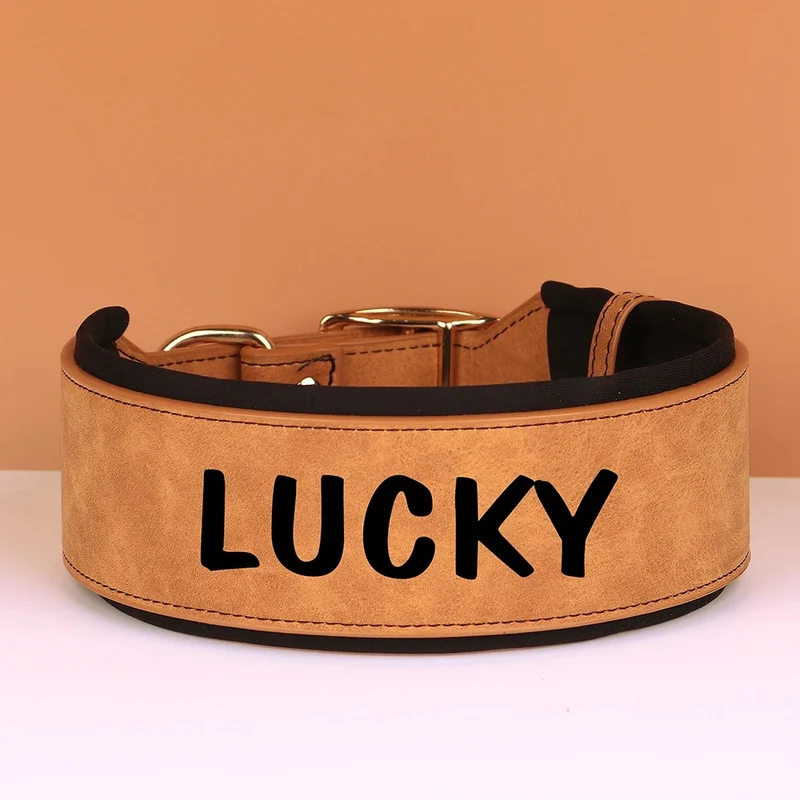 Collier Cuir Personnalisé Renforcé Gros Chien