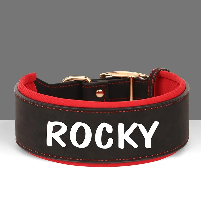 Collier Cuir Personnalisé Renforcé Gros Chien