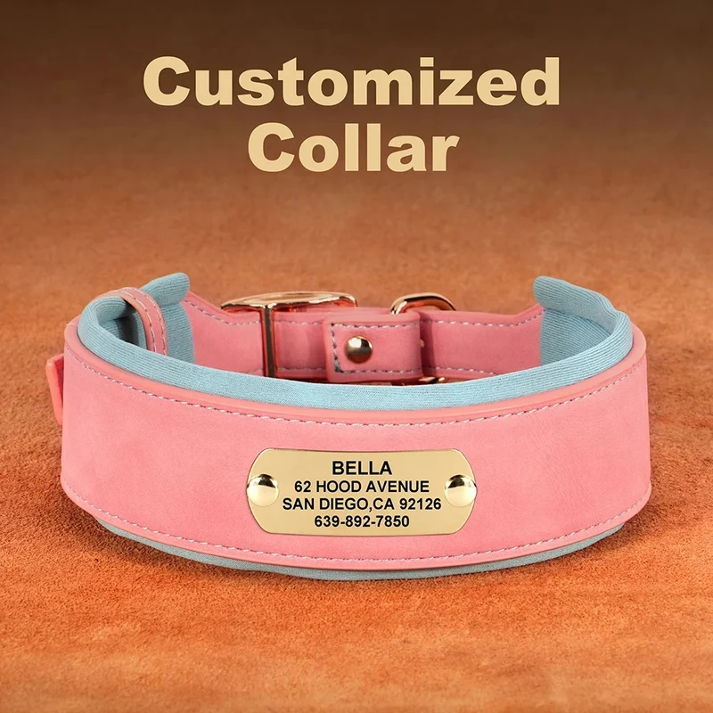 Collier Cuir Personnalisé Renforcé Gros Chien