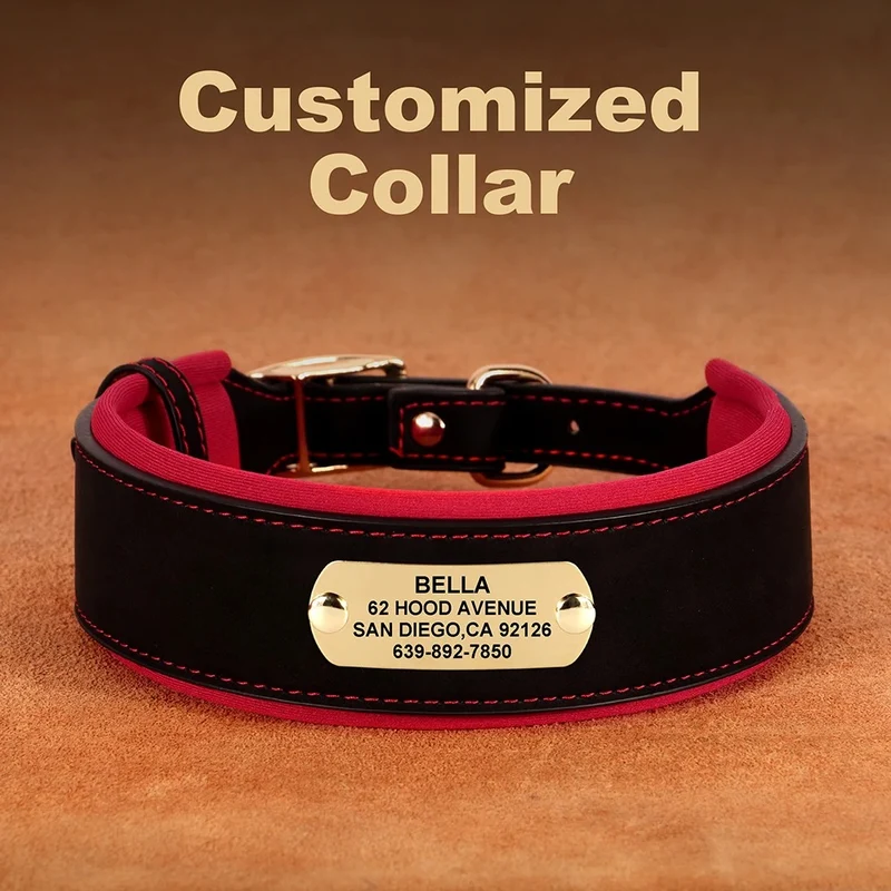 Collier Cuir Personnalisé Renforcé Gros Chien