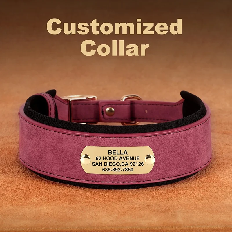 Collier Cuir Personnalisé Renforcé Gros Chien