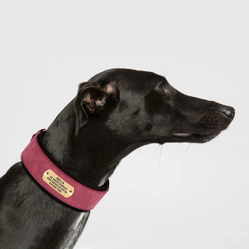 Collier Cuir Personnalisé Renforcé Gros Chien