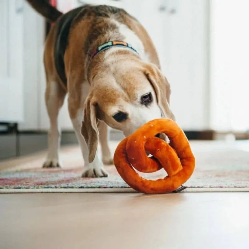 PELUCHE POUR CHIEN - BRETZEL 🥨