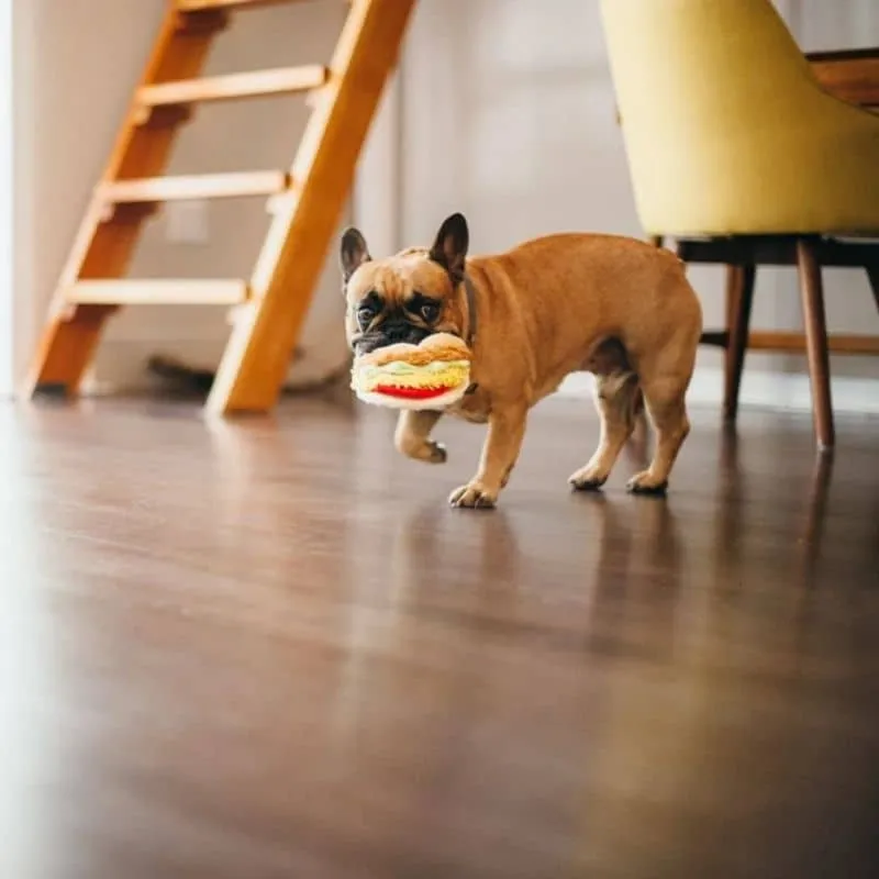 PELUCHE POUR CHIEN - TACOS 🌮