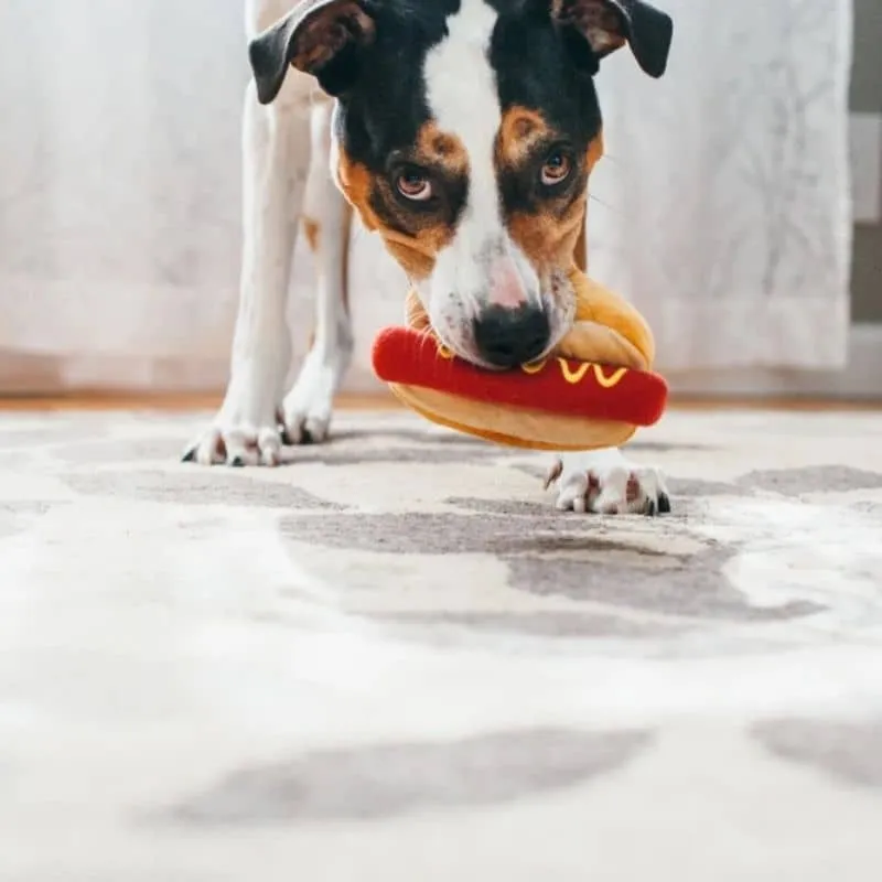 PELUCHE POUR CHIEN - HOT DOG 🌭 (2 TAILLES DISPO)