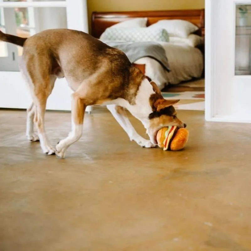 PELUCHE POUR CHIEN - HAMBURGER 🍔 (2 TAILLES DISPO)