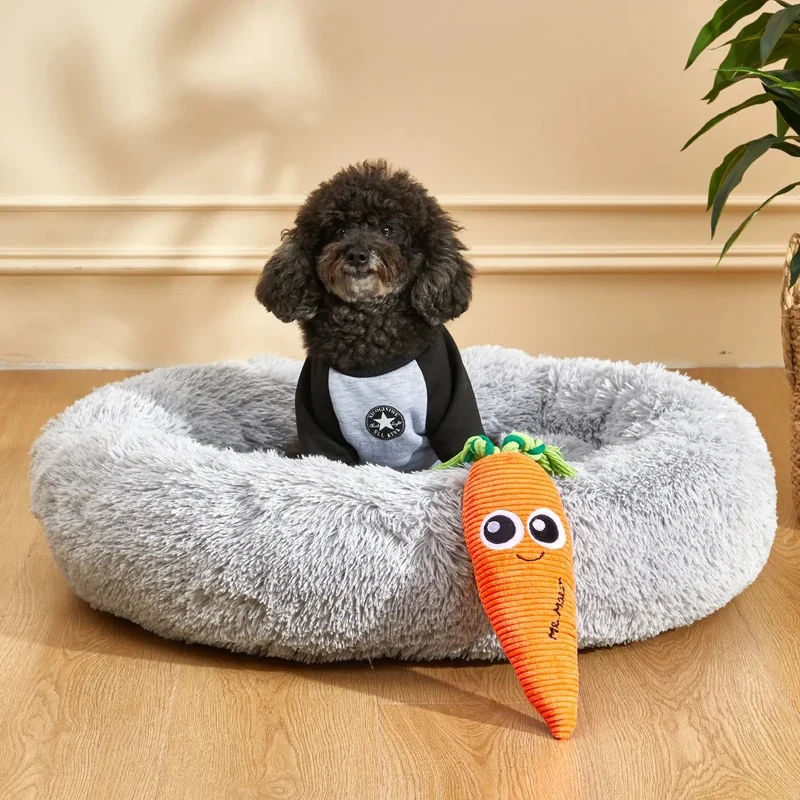 Jouet Carotte Ultra-Résistant Gros Chien