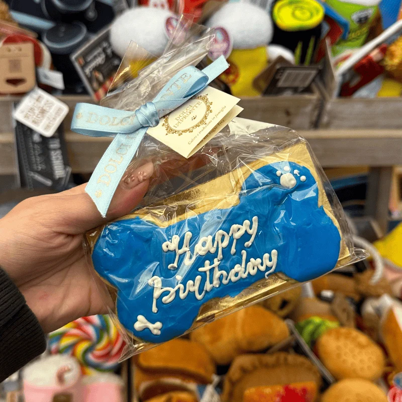 🎂 GÂTEAU D’ANNIVERSAIRE POUR CHIEN - BLEU