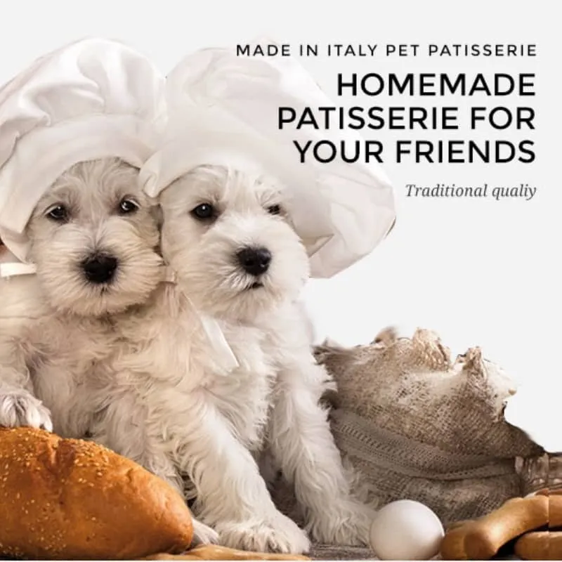 🎂 GÂTEAU D’ANNIVERSAIRE POUR CHIEN - BLEU
