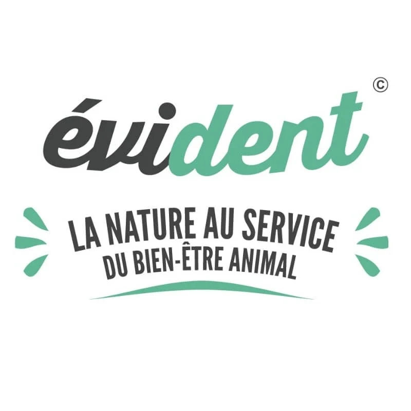 SOURIS À LA VALÉRIANE POUR CHAT