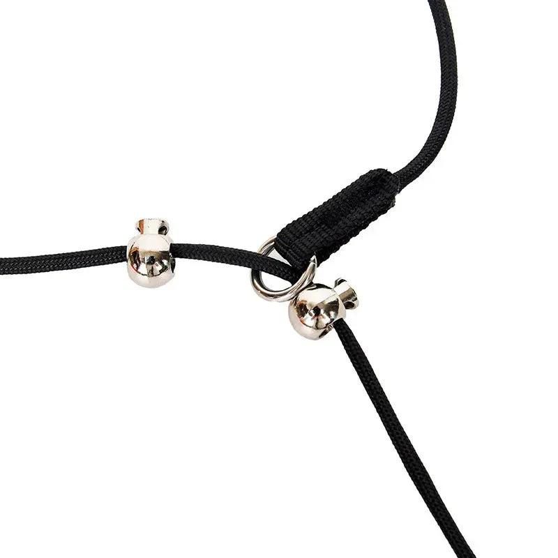 Collier Étrangleur Dressage Gros Chien