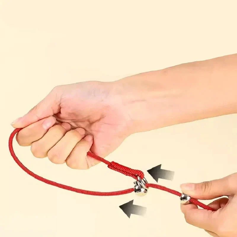 Collier Étrangleur Dressage Gros Chien
