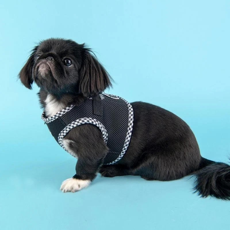 HARNAIS VESTE POUR CHIEN ET CHAT - NOIR BORDURE VICHY