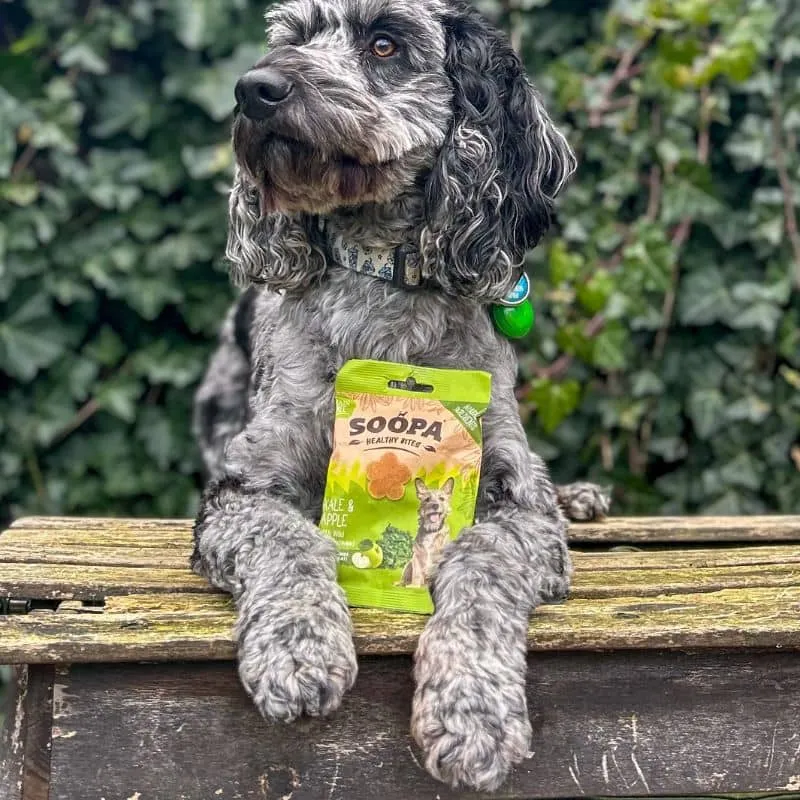 FRIANDISES D'ÉDUCATION POUR CHIEN - CHOU KALE ET POMME