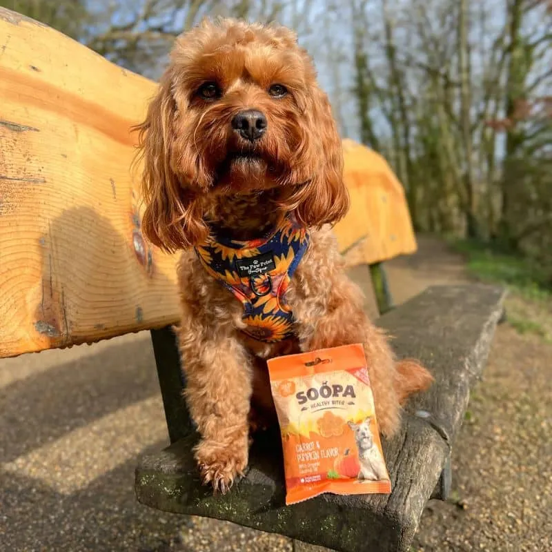 FRIANDISES D'ÉDUCATION POUR CHIEN - CAROTTE ET CITROUILLE