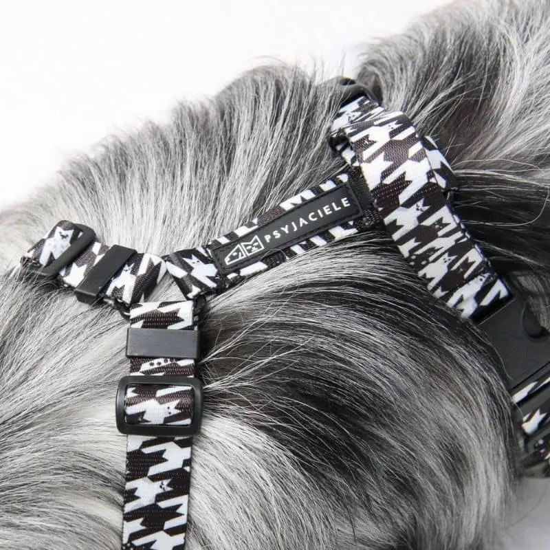 HARNAIS POUR CHIEN - PIED DE POULE DE CHIENS