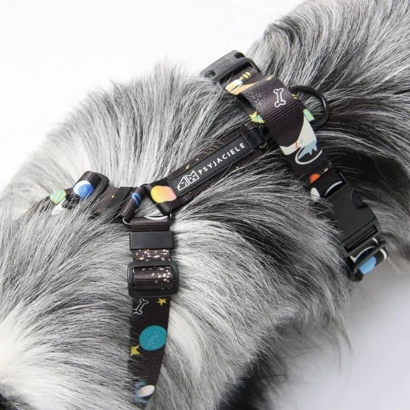 HARNAIS POUR CHIEN - CHIEN DE L’ESPACE 🛰️