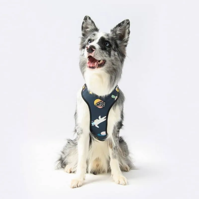 HARNAIS POUR CHIEN - CHIEN DE L’ESPACE 🛰️