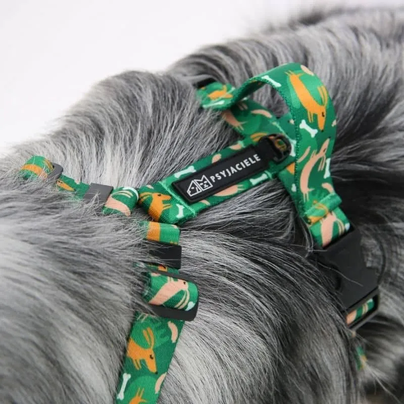 HARNAIS POUR CHIEN - CHIEN SAUCISSE