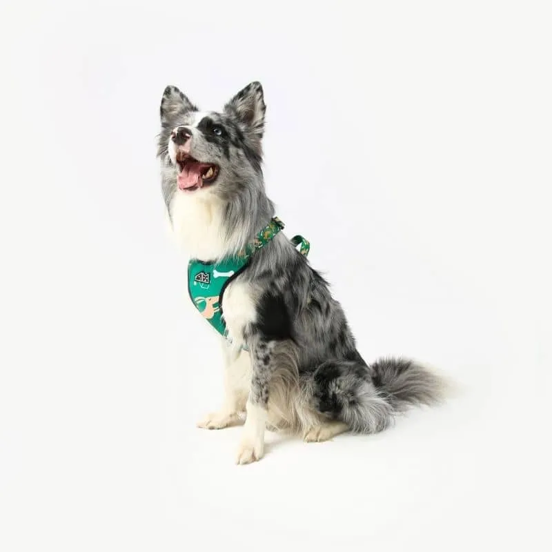 HARNAIS POUR CHIEN - CHIEN SAUCISSE