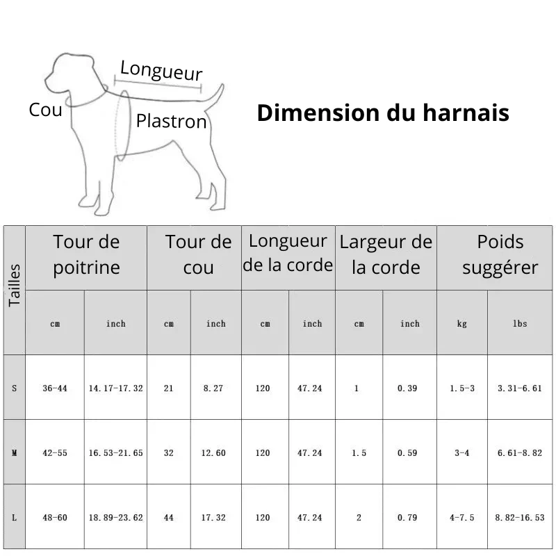 Harnais Petit Chien Respirant Laisse Incluse