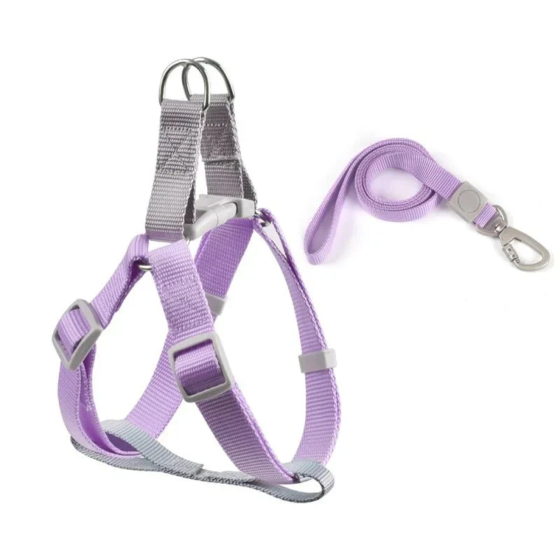 Harnais Petit Chien Respirant Laisse Incluse