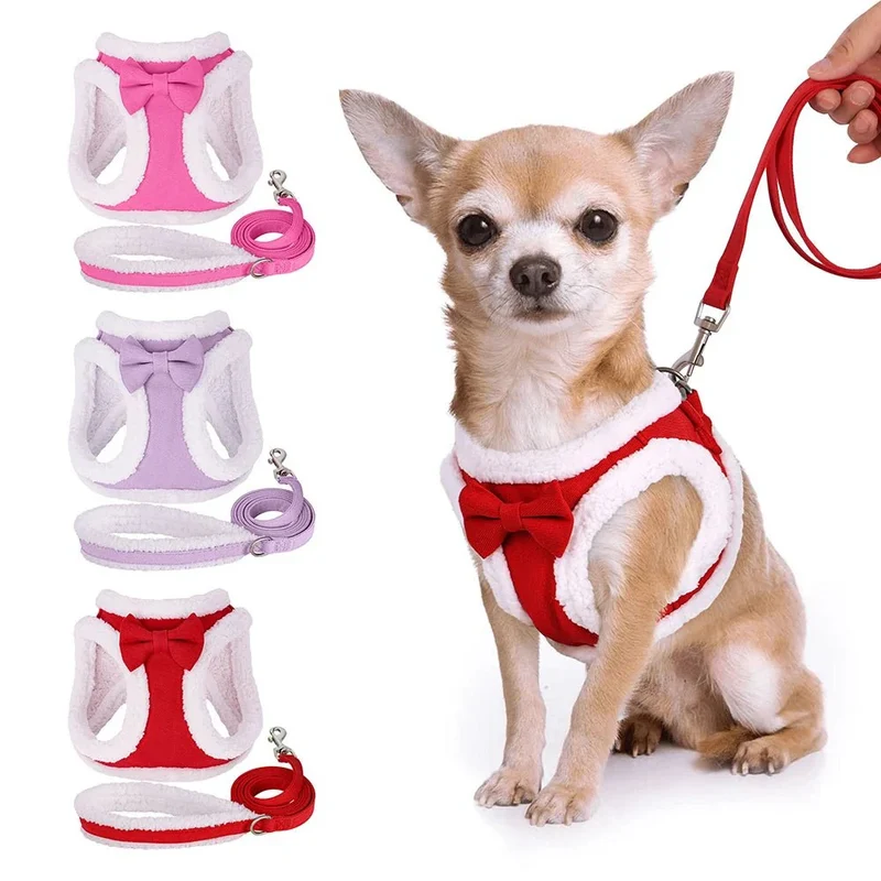 Harnais Festif avec Laisse Petit Chien XS S M