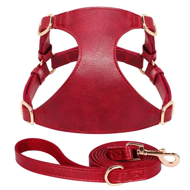 Harnais Cuir Chihuahua Réglable avec Laisse