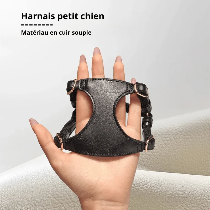 Harnais Cuir Chihuahua Réglable avec Laisse