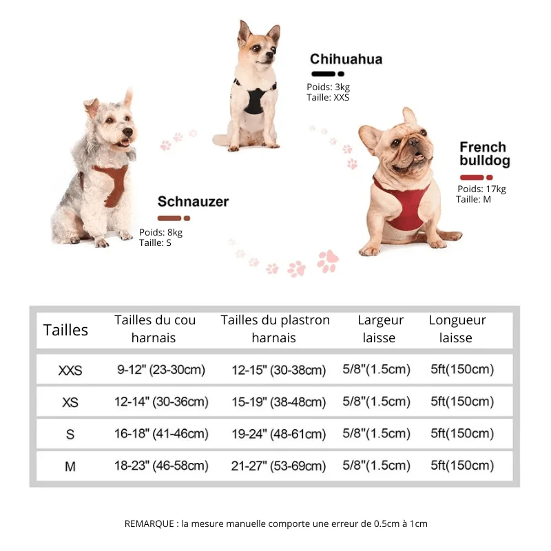 Harnais Cuir Chihuahua Réglable avec Laisse