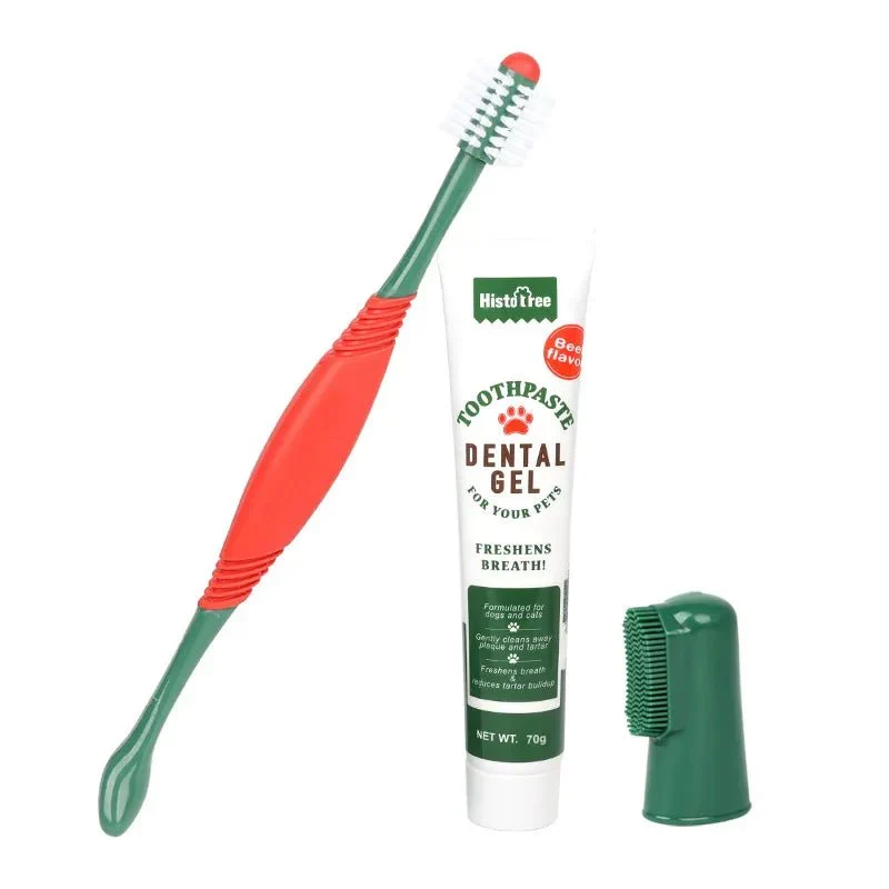 Kit Brosse Dentifrice Goût Boeuf Gros Chien