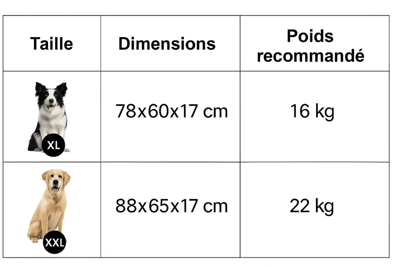 Panier Orthopédique XXL Gros Chien Mousse