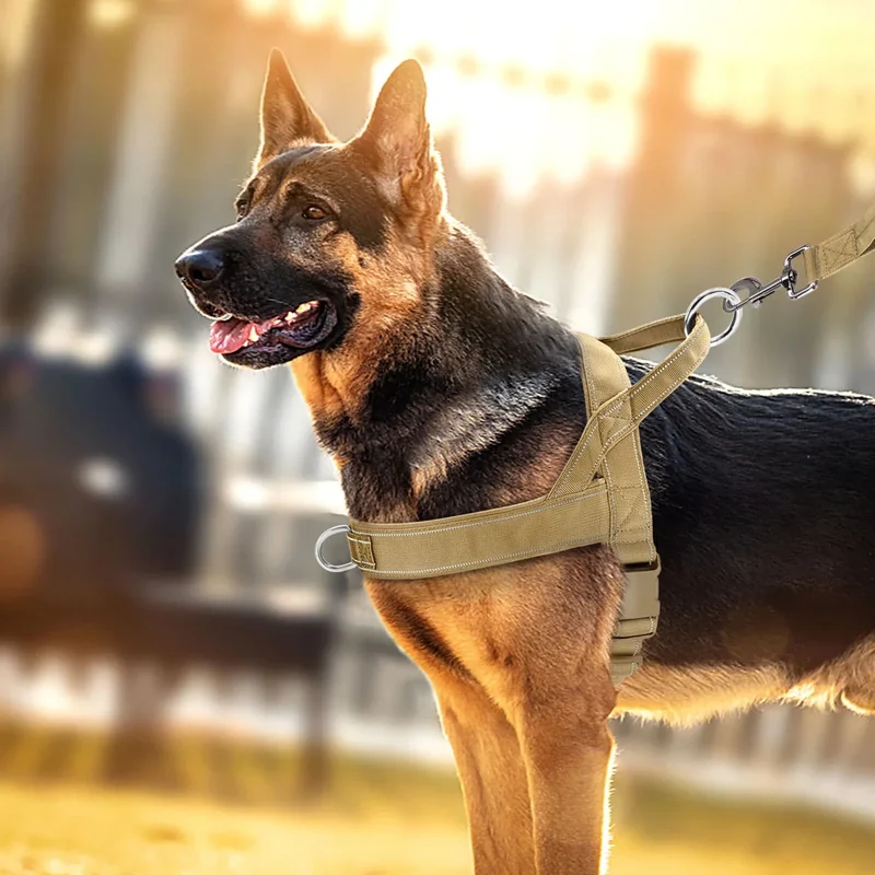Harnais Anti-Traction Y Gros Chien Tactique