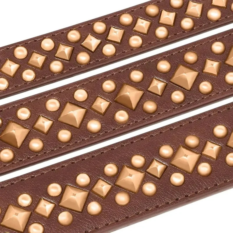 Collier Cuir Clouté Élégant Gros Chien
