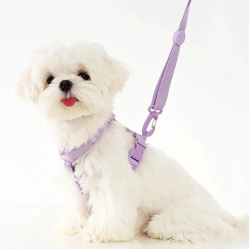 Harnais Nylon Réglable avec Laisse pour Chiot