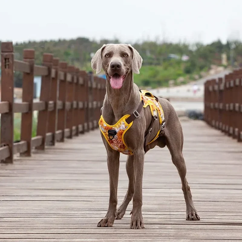 Harnais Anti-Traction Réfléchissant Gros Chien
