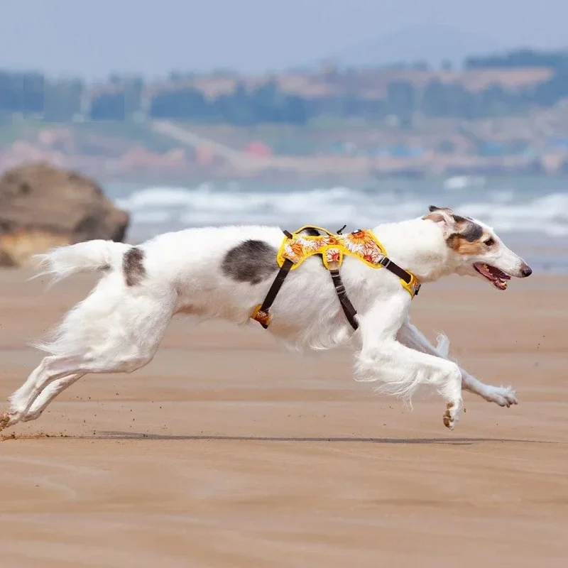 Harnais Anti-Traction Réfléchissant Gros Chien