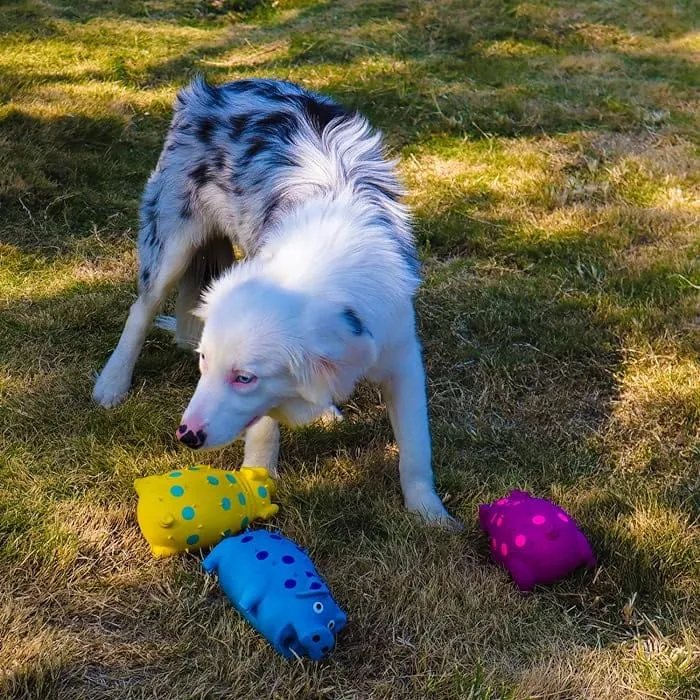 Jouet Cochon Grognant Couineur Gros Chien